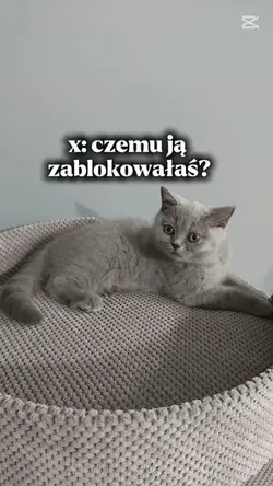 nie gadam z psami