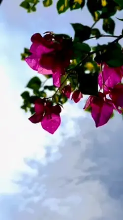 ganda ng song sarap 