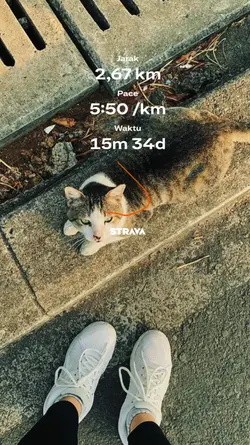 story strava 