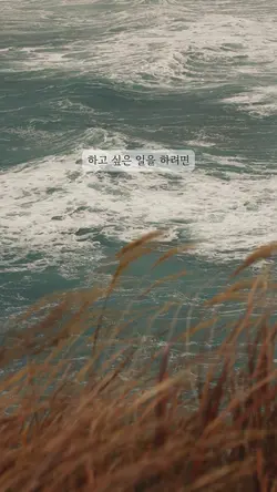 그냥 하자 🤍