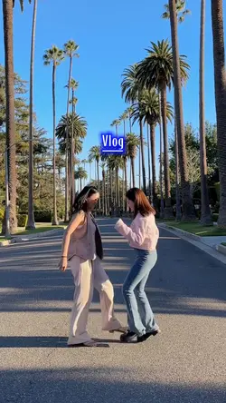Vlog
