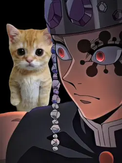 MONTAGEM DOMER EDIT