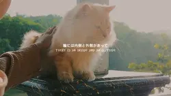 in this world