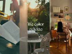 life color palette