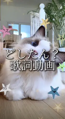 どしたん?