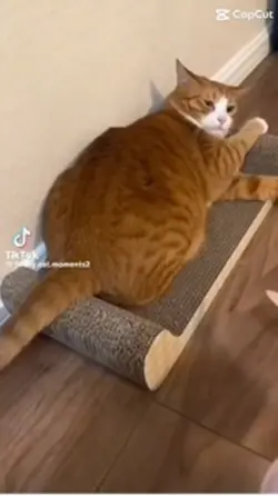 pt. 2 >:3
