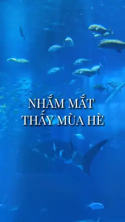 Slơw nhạc cuốn