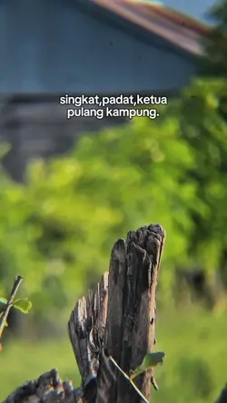 Bahan sw