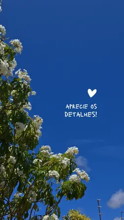 Aprecie os detalhes