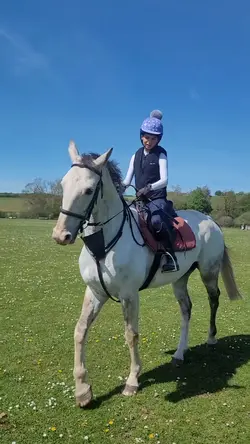 super cool horsie