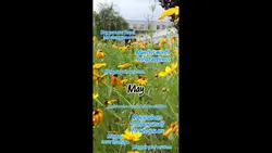 MAY