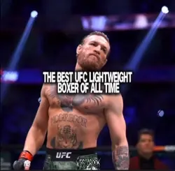 Best boxer