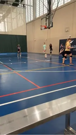 Volleybal