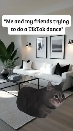 tiktok dance