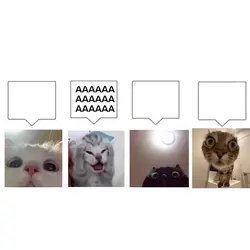 4คนนน