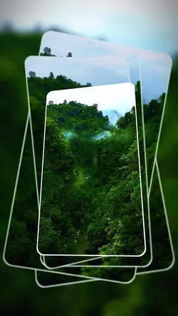 25 clip or photo