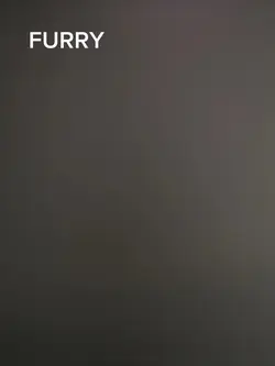 We did nothing