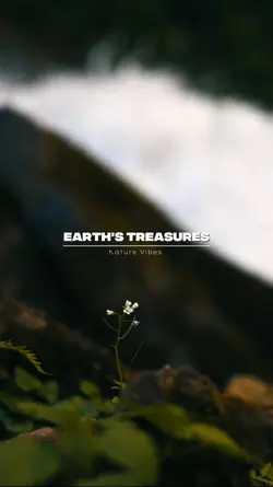 Earth's Treasures