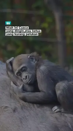 Cuaca Dingin
