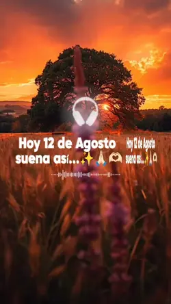 12 de Agosto