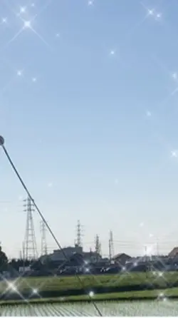 体育祭