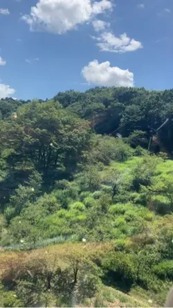 風景