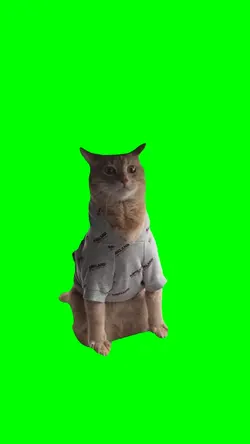 CAT LEANING