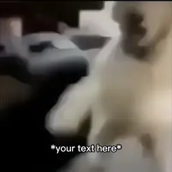 Meme
