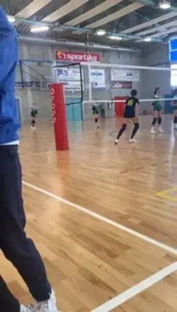 Volleyball