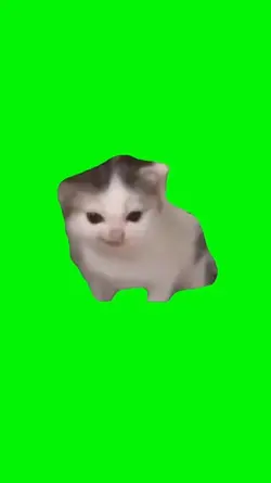 ANGRY CAT GS MEME