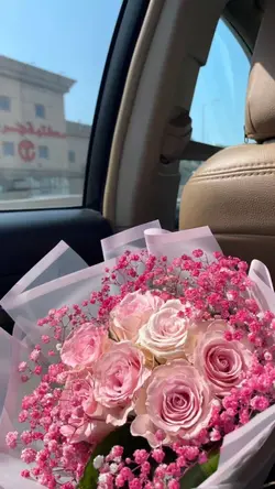 หมากับเงา