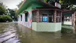 ২৪ শের বন্যা