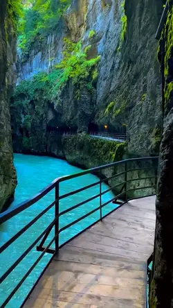 9 video or photo 