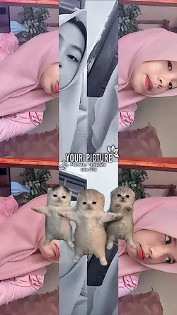 Jj kucing lucu