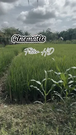 Cinematic farming