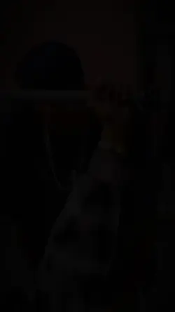 tiktok viral 