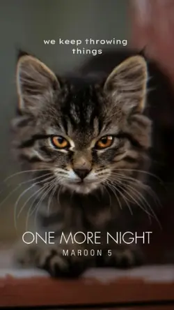 OneMore Night