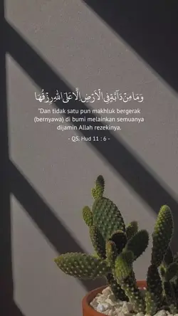 Quranquotes
