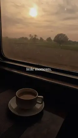 Little Moment