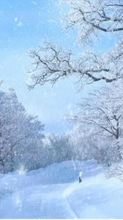 Snow Trend
