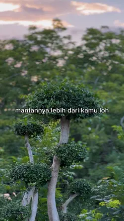 bebas aja