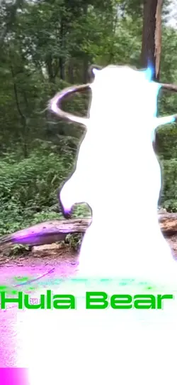 Hula Bear 