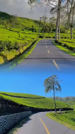 2 video 1 frame