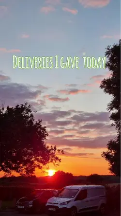 Food delivery capcut