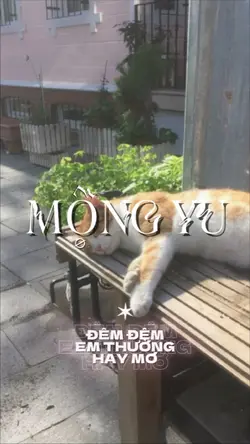 Mộng yu