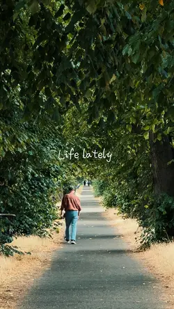 Life lately 