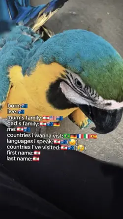 nationality trend 