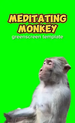 Meditating Monkey