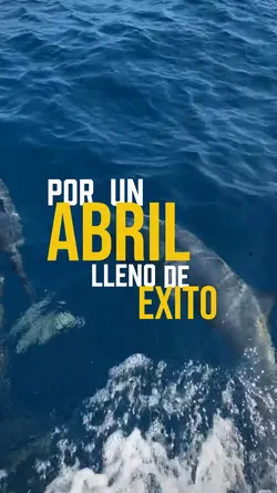Hola Abril