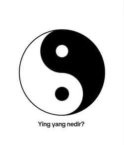 yingyang ~hae